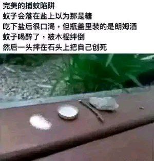 这张图属于搞笑整活类的图文混排梗图，上方为脑洞编造的离谱捕蚊陷阱说明文字，内容声称该陷阱的运行逻辑是：蚊子会将盐误认为糖落下食用，吃盐后口渴就会饮用旁边瓶盖里的朗姆酒喝醉，随后被一旁的木棍绊倒，最终一头摔在石头上死亡。下方配图对应文字内容，在窗台边的平面上依次摆放了一小撮白色粉末、盛有液体的瓶盖、一根细木棍、一块小石块，整套设定完全不符合现实科学逻辑，靠夸张离谱的脑洞制造笑点。