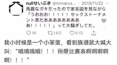 本图是一则中日双语对照的搞笑梗图，上方为日推网友对童年糗事的吐槽，下方是中文网友的翻译模仿。内容皆为：小时候看到族谱（家谱、家系图）时，把它误认为或硬往“比赛淘汰赛表”上联想，激动大喊出声，呈现了一种孩子思维的幽默和天真。图中有明显的对比和照搬玩梗形式。并有一些语气上的夸张（“啊啊啊啊”）。

此梗幽默点在于对人生、家族结构严肃主题的“降级理解”，将家谱与比赛淘汰赛表荒谬类比，产生喜剧效果。

没有明显谐音梗，但包含一定的双关和戏仿意味。