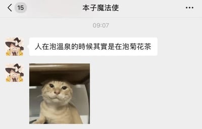 这是一张即时通讯软件的聊天记录截图，聊天窗口名称为“本子魔法使”，左上角显示有15条未读消息。在09:07，名为“本子魔法使”的用户发送了一句趣味谐音梗：“人在泡温泉的时候其实是在泡菊花茶”，随后附上了一张实拍猫咪图片。图片里的浅橘色猫咪蹲在类似马桶的狭小空间中，抬头看向前方，表情无奈又微妙，完美呼应了段子的搞笑内核——人泡温泉时头部露出水面的样子，像极了菊花茶里的菊花，猫咪的神态也仿佛在吐槽这个脑洞大开的说法，整体内容充满滑稽感，适合朋友间的趣味互动。