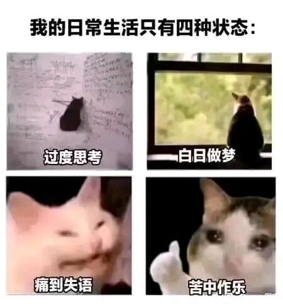 这是一张四格拼接的图文混排类表情包，顶部配有文字“我的日常生活只有四种状态:”，四个格子分别用猫咪的不同状态对应四种生活状态：左上是一只黑猫缩在写满文字的墙角，配文“过度思考”，表现出陷入深度思绪的状态；右上是黑猫坐在窗边望向外面，配文“白日做梦”，对应放空幻想的状态；左下是一只粉色猫咪露出无语扭曲的表情，配文“痛到失语”，传递出无奈到无法言说的情绪；右下是一只眼含泪水的猫咪做出点赞手势，配文“苦中作乐”，体现出在困境中强装乐观的心态。这组图用生动的猫咪形象调侃了当代人在生活中常有的几种精神状态，极易引发大众情绪共鸣。