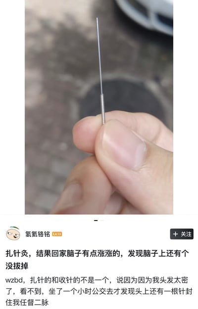 这张图是一张近距离拍摄的银色针灸针照片，背景虚化，前景是一只手拿着很细的针，这是一根中医针灸用针。下方是网络平台的幽默吐槽配文。作者讲述自己去针灸后忘记拔针，因头发太密导至针没被发现，结果带着针坐了一个小时公交回家，发现后哭笑不得。画面有一种乌龙、无语、自嘲的幽默感，流露出倒霉尴尬的生活气息。

配文中“脑子上还有一个没拔掉”也有一定的双关/暗示效果，既指针灸针物理意义没拔，也隐约调侃‘脑子不太管用’。