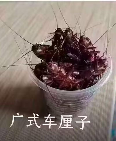 这张图展示了一个透明塑料小杯子，里面装满了多只深色的蟑螂，蟑螂的细长触须四散伸展，杯子下方配有白色文字“广式车厘子”。这是一个利用粤语谐音的恶搞梗，粤语中蟑螂被称为“曱甴（yuē yóu）”，发音和“车厘子”相近，于是用令人反感的蟑螂来调侃“广式车厘子”，通过强烈的反差感制造出荒诞搞笑的效果，用接地气的本土方言谐音玩梗，趣味十足。