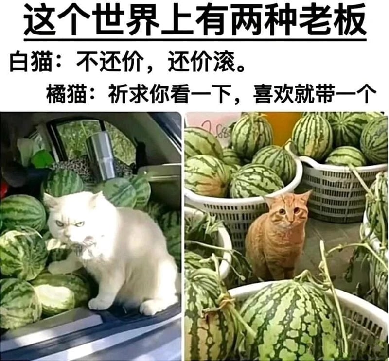卖瓜老板（拟人化）
