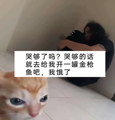 这是一张充满反差感的搞笑养宠梗图，画面前景是一只表情淡然的橘色猫咪，正看向镜头；背景里的人蜷缩在房间的墙角，双臂抱膝，看起来情绪低落，似乎正在哭泣。图中以猫咪的视角配上文字：“哭够了吗？哭够的话就去给我开一罐金枪鱼吧，我饿了”，用宠物完全不在意人类的负面情绪、只关心自己食物需求的冷漠态度，制造出幽默效果，精准调侃了养宠日常里宠物“自我中心”的真实状态，能引发养宠人士的共鸣。