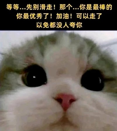 暂无描述