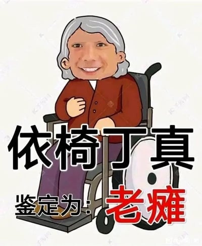 这是一张经过二次创作的恶搞表情包，创作者将公众人物丁真的面部图像合成到坐在轮椅上的卡通老年人物身体上。卡通人物穿着棕色开衫上衣与紫色长裤，坐在轮椅上，一只手放在胸口，面带笑容。图中配有显眼的文字：上方是“依椅丁真”，下方是“鉴定为：老瘫”。其中“依椅”字面指人物依靠椅子，同时是谐音梗；“老瘫”字面指老人瘫痪，对应人物坐轮椅的状态，同时谐音“老坛”，结合网络流行的“鉴定为”戏谑句式，通过P图和谐音双关制造搞笑效果，属于网络恶搞类的表情素材。