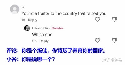 这是一张海外社交平台的评论区截图，匿名用户U留言指责谷爱凌“你是个叛徒，你背叛了养育你的国家”，作为创作者的谷爱凌则用一句“你是说哪一个？”巧妙回怼。截图下方配有完整的中文翻译，将英文评论和回复转换成中文便于理解。谷爱凌的回复利用自身拥有中美两国成长背景的特殊性，四两拨千斤地化解了无端的指责，既展现了高情商，又带有一丝幽默的底气，让质疑显得苍白无力。