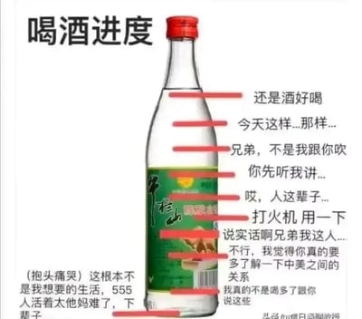 暂无描述