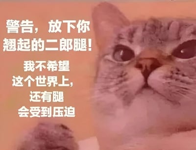 图片左侧为白色文字内容：“警告，放下你翘起的二郎腿！我不希望这个世界上，还有腿会受到压迫”，右侧是一只猫咪的面部特写，猫咪眼神直视前方，表情略显严肃。整体通过拟人化手法，让猫咪以“警告者”的姿态调侃人类跷二郎腿的行为，用“腿会受到压迫”的幽默表述制造笑点。