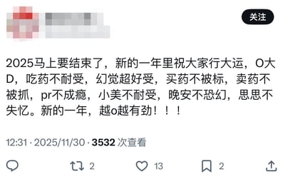 这是一张境外社交平台的公开发帖截图，发帖用户的头像和昵称均被打码处理，内容是打着新年祝福的名义发布的一系列不当表述，包含鼓励精神类药物滥用、支持违法买卖管制精神药品的相关内容，发帖时间标注为2025年11月30日12:31，该内容累计获得3532次查看，2次转发、13个点赞和2次收藏。