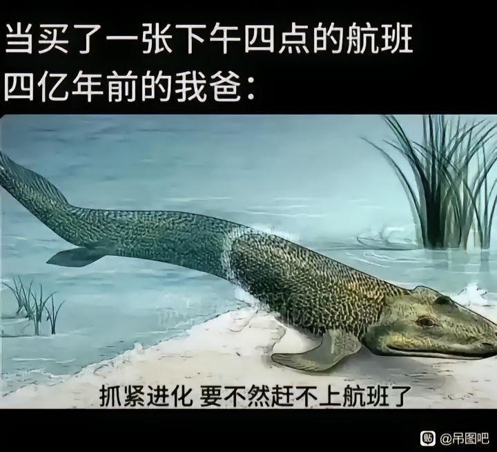 古生物科学复原图