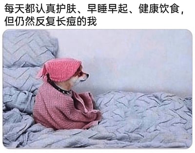 这是一张图文结合的梗图，画面主体是一只被拟人化的小狗，它裹着同色系的粉色针织头巾和毯子，坐在铺着灰色床单的床上，侧头看向一边，神情低落沮丧，完美复刻了人在遭遇挫败时的失落状态。图片上方配有文字“每天都认真护肤、早睡早起、健康饮食，但仍然反复长痘的我”，精准戳中了很多人明明已经严格保持健康的生活作息和护肤习惯，却依旧被反复长痘的问题困扰的无奈与挫败感，用可爱的宠物形象来传递这种负面情绪，既生动又容易引发共鸣。