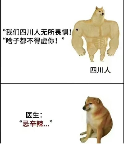 这是一张上下分栏的对比梗图，上半部分是有着强壮肌肉的柴犬（doge）形象，配文“我们四川人无所畏惧！”“啥子都不得虚你！”，标注为“四川人”，塑造出四川人豪爽、天不怕地不怕的形象；下半部分是垂头丧气的cheems柴犬，搭配医生的配文“忌辛辣...”，通过强烈的形象反差，调侃了四川人无辣不欢，唯独对医生叮嘱的“忌辛辣”要求毫无抵抗力的真实日常，用夸张的视觉对比制造出搞笑效果，精准戳中地域饮食文化相关的笑点。