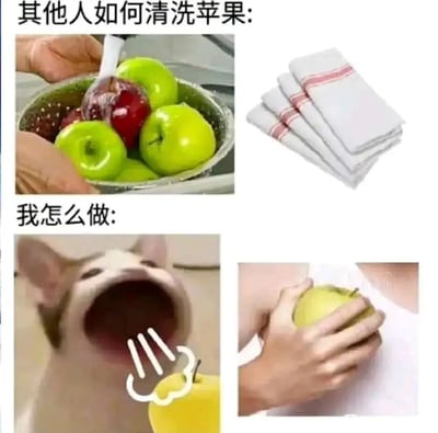 一张对比图，展示了别人认真清洗苹果的方式与自己敷衍处理苹果的幽默对比。上半部分显示有人用刷子在滤盆中清洗苹果，旁边放着干净的毛巾；下半部分则展示一只狗张大嘴巴准备直接咬苹果，以及一只手直接拿着苹果不清洗的场景。