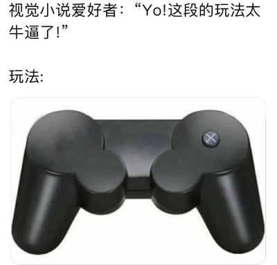 这是一张针对视觉小说创作的吐槽类梗图，上方文字是视觉小说爱好者兴奋高呼“Yo!这段的玩法太牛逼了!”，下方标注“玩法:”后，展示了一个被极度简化、仅保留X按键的游戏手柄。该梗图用夸张的方式调侃大量视觉小说所谓的“玩法”本质上仅需反复按X键推进剧情，精准戳中玩家对这类游戏操作单一性的共鸣，充满搞笑的吐槽感。