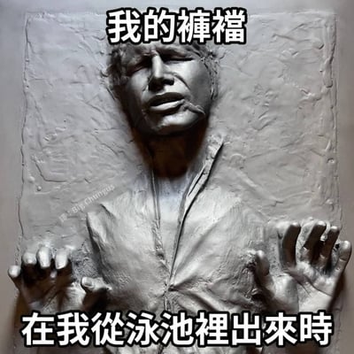 这张梗图改编自《星球大战：帝国反击战》中韩·索罗被碳凝的经典场景，将其幽默转化为日常生活场景。图中人物表情痛苦扭曲，双手做出挣扎状，配合上方文字“我的裤裆”和下方文字“在我從泳池裡出來時”，形成强烈反差萌，用科幻经典场景比喻泳裤贴身的尴尬体验。