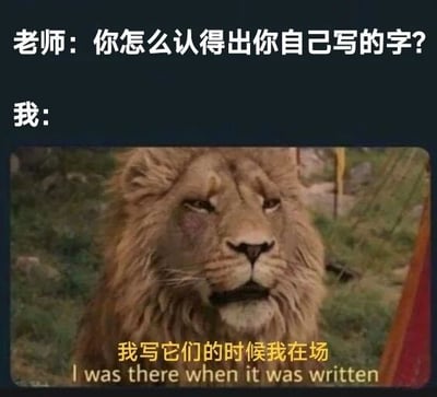 图片上方文字为老师的提问：'你怎么认得出你自己写的字?'，下方接'我:'并配有一张狮子直视前方的照片，照片底部有黄色文字'我写它们的时候我在场'及英文翻译'I was there when it was written'。通过狮子淡定的表情和幽默的回答，调侃手写体潦草但自己能认出的常见场景，充满自嘲与搞笑意味。