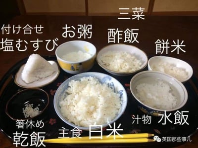这张图片展示了一个深色托盘上摆放的多种日本料理中以大米为原料的食物，每种食物都配有对应的日文及中文标注，详细区分了不同形态的米饭：包括作为主食的白米饭、泡在水里的水饭、粥、醋饭、盐饭团、碗底残留的干饭、饼米等，甚至把筷架上的少量残留米饭也单独列为“乾饭”。这些食物本质上都是大米的不同做法，却被细致划分成多个类别，以一种较真又有趣的方式展现了日本饮食文化中对米饭的多样处理方式，带有玩梗的意味，调侃了这种过于细致的分类。