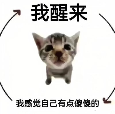 图片中央是一只近距离拍摄的小猫，眼睛圆大，表情懵懂，直视前方。图片上方有黑色粗体文字“我醒来”，下方有文字“我感觉自己有点傻傻的”，文字周围有简单的黑色弧线装饰。整体风格可爱幽默，通过小猫的呆萌表情和文字结合，表达了刚睡醒时的迷糊状态，容易引起共鸣。
