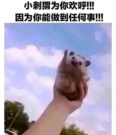 这是一张温馨治愈的顶配底文图，画面主体是一只真实的小刺猬被人的手掌托举在空中，小刺猬的一只前爪抬起，神态看起来兴奋积极，仿佛正在欢呼，背景是蓝天白云和远处的树木，给人一种开阔温暖的感觉。图片上方配有醒目的加粗文字“小刺猬为你欢呼!!!因为你能做到任何事!!!”，通过可爱的动物形象加上直白的鼓励话语，传递出满满的正能量，用来给他人加油打气，适合作为暖心的表情包或者鼓励类配图在社交平台分享。