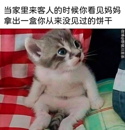 这是一张文字加注的照片改图梗图，图中是一只睁着圆溜溜的大眼睛、嘴巴微张、一脸震惊疑惑的小奶猫，它坐着抬头望向上方，神态完美还原了童年时，发现妈妈拿出自己从未见过的饼干招待客人时，那种震惊、不解又带着委屈的心情，戳中了很多人的童年回忆，引发强烈共鸣。