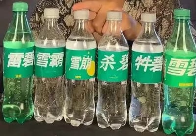 这张图展示了六瓶排列整齐的饮料，前五瓶都是模仿雪碧包装设计的山寨仿品，仅最右侧一瓶是正版雪碧。前五瓶山寨饮料都沿用雪碧的绿色标签风格，通过修改“雪碧”二字傍名牌，从左到五瓶的名称分别为雷碧、雪霸、雪崩、杀碧、牪碧，有一只人手搭在中间两瓶饮料的后方，整体用来展示各类傍名牌的山寨饮料，内容搞笑。