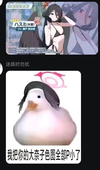 这是一张上下拼接的二次元玩梗图，上方是手游《蔚蓝档案》的限定泳装角色莲见的官方宣传图，角色身着黑色比基尼，造型性感清冷，是玩家喜爱的人气角色；下方是网络流行的小白鸭表情包，被网友P上了莲见的发型和角色标志性的光环，配文“我把你的大奈子色图全部P小了”。结合上方的性感角色图，形成了精准调侃玩家喜好的搞笑反差，用欠揍的语气“打击”喜欢这类性感角色的玩家，充满玩梗趣味。