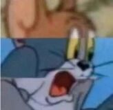 猫和老鼠