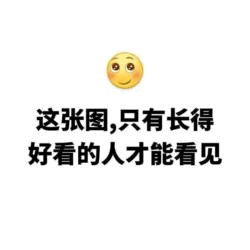 只有好看的人才能看见这张图