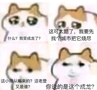 这是一张由四张mur猫（忧郁猫）表情包拼接而成的连环梗图，通过猫咪的表情变化和文字对话，玩了一个关于「成龙」的双关误解梗。第一格中猫咪露出疑惑的表情，配文「什么？我变成成龙了？」；第二格猫咪转为兴奋，配文「这可太酷了，我要先找个城市把它烧尽」，这里是将「成龙」误解为「可以焚烧城市的恶龙」，把人名和“烧城的龙”做了概念混淆；第三格猫咪满脸困惑，配文「这小孩从哪来的？这老登又是谁？」，暗示出现了功夫明星成龙相关作品《成龙历险记》里的小玉和老爹；第四格猫咪表情无语，配文「你说的是这个成龙？」，点明乌龙所在，原来自己误解了，真正的「成龙」是功夫明星，而非能烧城的恶龙，整个梗图通过反差和误解制造出荒诞的笑点。