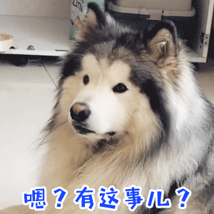 一脸疑惑的狗狗表情包：嗯？有这事儿？