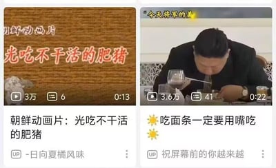 这是一张由两张B站视频卡片拼接而成的恶意嘲讽类梗图。左侧卡片是标题为《朝鲜动画片：光吃不干活的肥猪》的视频，显示播放量3万、评论数6、时长0:13，UP主为“-日向夏橘风味”，卡片上方有“朝鲜动画片”和“光吃不干活的肥猪”的醒目文字；右侧卡片是标题为《吃面条一定要用嘴吃》的视频，视频画面是一位男性低头用嘴吃面条，卡片顶部有半显示的文字“今天将军的美”，视频播放量3.6万、评论数41、时长0:22，UP主为“祝屏幕前的你越来越”。该梗图通过将左侧动画的贬义标题与右侧视频中的人物恶意关联，以此进行针对性嘲讽，属于带有恶意导向的二次创作内容。