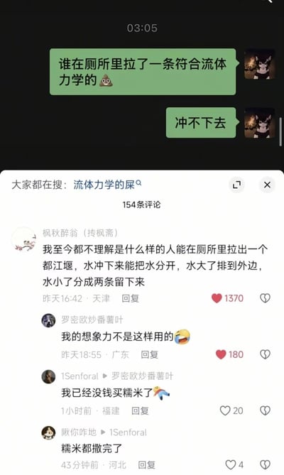 这张图为社交媒体内容截图，上半部分是用户发送的两条绿色气泡聊天消息，内容为吐槽公共厕所内有人留下了符合流体力学的排泄物，冲不下去，还附带了便便表情；下半部分是该内容对应的评论区，高赞评论将难冲的排泄物戏称为“都江堰”，调侃其能分流冲水，水大就溅到外面、水小就分成两段冲不走，后续评论相继玩梗，有人吐槽想象力不该用在这种地方，还有人玩谐音梗暗指排泄物是糯米做的，整体内容荒诞搞笑，充满网络趣味。