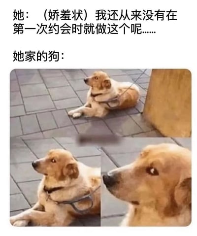 图片上方文字描述一位女性以娇羞状态说出“我还从来没有在第一次约会时就做这个呢……”，下方紧接着“她家的狗：”并配上三张狗狗趴在瓷砖地面上抬头张望的照片。狗狗表情平静，眼神中带着一丝淡然，形成幽默反差——女性的娇羞暗示与狗狗的反应形成对比，仿佛狗狗早已见证过类似场景，从而产生“狗狗拆穿谎言”的搞笑误解效果。