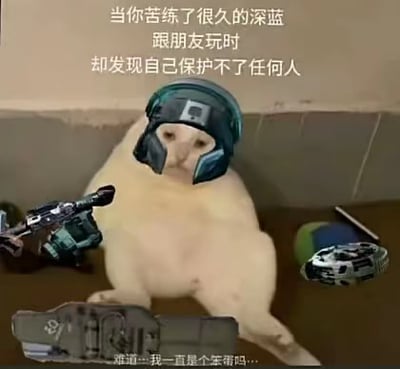 图片中一只白色猫咪坐在地面上，头戴蓝色游戏风格头盔，身旁放置着一把造型科幻的枪和一个彩色装备。上方文字写道“当你苦练了很久的深蓝 跟朋友玩时 却发现自己保护不了任何人”，底部猫咪配文“难道…我一直是个笨蛋吗…”。整体通过猫咪拟人化的场景，幽默调侃了玩家苦练游戏角色却在实战中表现不佳的无奈与自嘲心态。