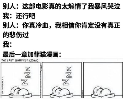 图片上半部分是一段对话：别人表示某部电影太煽情自己暴风哭泣，我回应“还行吧”，别人则认为我冷血，断言我没有真正悲伤过。下半部分是“最后一章加菲猫漫画”的三格黑白漫画，每一格都显示加菲猫趴在千层面上睡觉，上方有“ZZZ”的睡觉符号，漫画标题为“THE LAST GARFIELD COMIC”。整体通过对比他人对煽情电影的强烈情绪反应与“我”用加菲猫漫画暗示内心悲伤的方式，形成反差幽默。