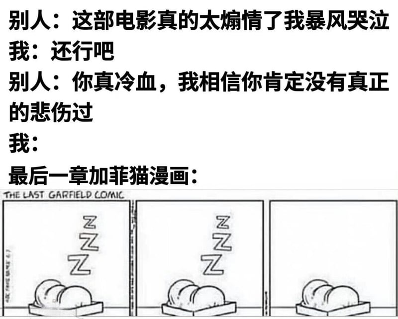 加菲猫