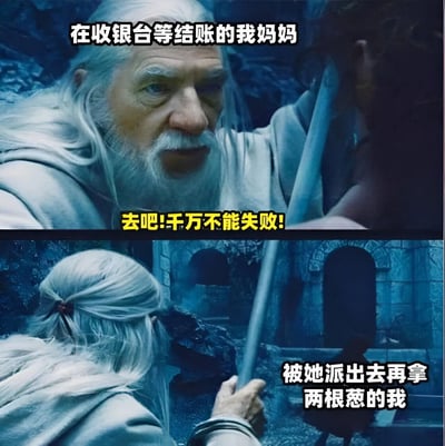 这是一张使用《指环王》电影场景制作的梗图，上半部分甘道夫代表在收银台等结账的妈妈，对弗罗多代表的‘我’下达‘去吧!千万不能失败!’的命令，下半部分弗罗多代表被派去再拿两根葱的‘我’，幽默地表现了家庭购物中的日常场景，带有无奈又搞笑的情绪。