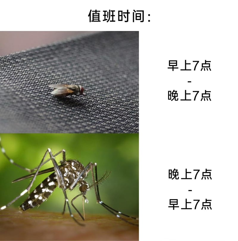 吸血昆虫