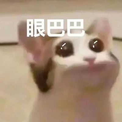 这是一张文字加注的静态单图，属于表情素材图。画面主体是一只经过图像修改的猫咪，它的眼睛被处理得又大又圆，眼内带有明显高光，神态可怜巴巴、满怀期待，头部微微抬起看向画面上方。图片顶部用醒目的白色粗体字标注了“眼巴巴”三个字，精准概括了猫咪的神态，让这张图的情绪表达更加直接。该图常被用作网络表情包，多用于向他人表达期待、恳求、委屈等情绪，比如在请求帮助、渴望获得某样事物时发送，以此传递自己的诉求和软萌的情绪。