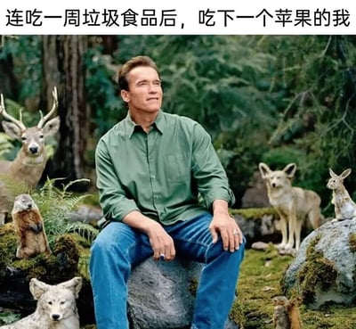 图片展示了阿诺德·施瓦辛格坐在森林环境中，周围有鹿、兔子等野生动物环绕，他表情平静而满足。图片上方配有文字“连吃一周垃圾食品后，吃下一个苹果的我”，通过施瓦辛格与自然和谐共处的画面，幽默地表达了长期食用不健康食品后吃到新鲜水果的愉悦感受和身体的积极反应。