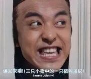 图片为人物面部特写，表情极为夸张：双眼圆睁，眉毛上挑，嘴巴大张露出牙齿，呈现出激动或震惊的情绪。图片下方配有文字“通过观察（三只小猪中的一只猪的反应）”，幽默地将人物表情与《三只小猪》中某只猪的反应联系起来，营造出搞笑效果。