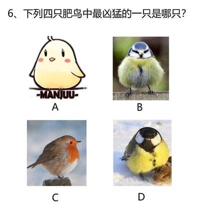 这是一道网络趣味选择题，题目为“6、下列四只肥鸟中最凶猛的一只是哪只？”，共包含四个选项：A选项是手游《碧蓝航线》中的卡通吉祥物啾啾（MANJUU），形象软萌可爱，眼神无辜；B选项是一只表情严肃、姿态紧绷的山雀，眼神锐利，站立在树枝上；C选项是一只神态温和的知更鸟，安静站立在木桩上；D选项是一只大山雀，脚下踩着一只小型啮齿动物，直观展现出捕食行为，结合大山雀本身性情凶猛的习性，它是四只鸟中最凶猛的。