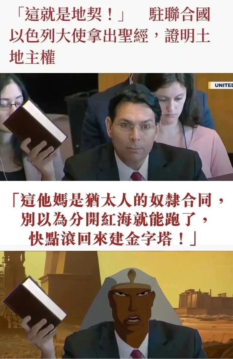联合国正式会议