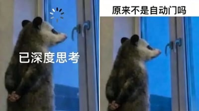 这是一张左右拼接的趣味梗图，两张图的主体都是背着手站立在玻璃门前的负鼠。左侧图添加了加载动画图标，配文“已深度思考”，模拟负鼠站在门前等待门自动开启的状态；右侧图配文“原来不是自动门吗”，表现出负鼠等待许久后才反应过来面前的门不是自动门的茫然、尴尬情绪，整体风格诙谐好笑，非常适合用来自嘲日常中想当然后遭遇落差的社死或无语处境。