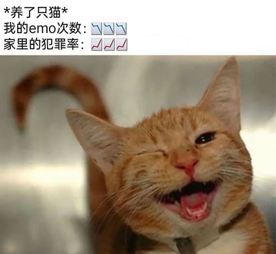 这是一张图文混排的趣味表情包，上方配文为“*养了只猫*
我的emo次数：📉📉📉
家里的犯罪率：📈📈📈”，下方是一只表情搞怪的橘猫，它一只眼睛眯起，大张着嘴露出牙齿，表情看起来十分得意滑稽。这张图用幽默的反差感调侃养猫后的日常：猫咪的陪伴让人emo的次数减少，但猫咪在家调皮捣蛋（如拆家、搞破坏）的“犯罪行为”变多，生动展现了养猫带来的快乐与无奈并存的体验。