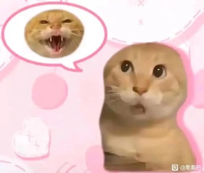 这是一张网友自制的合成猫咪表情包，画面右侧是一只睁着圆溜溜的大眼睛、嘴巴微张，露出震惊错愕神态的橘色Mur猫；左上角的对白气泡中则是另一只表情愤怒、大张嘴巴嘶吼的Mur猫，形成了强烈的情绪反差，精准表现出人们在某些场景下，表面维持着惊讶、错愕的外在神态，内心却早已怒火中烧、情绪激动的内心戏，十分贴合日常隐忍情绪又想宣泄的状态，极具搞笑效果。