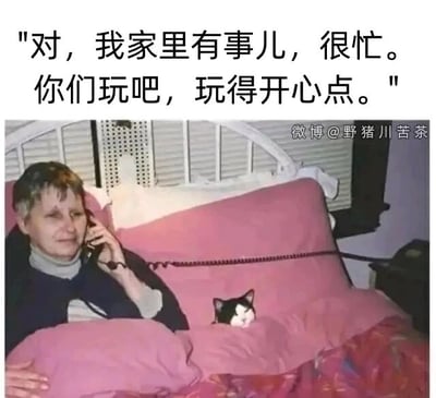 这是一张充满生活趣味的搞笑梗图，画面呈现了一个居家场景：一位老人坐在铺着粉色床品的床上，手持老式座机打电话，配文是她所说的“对，我家里有事儿，很忙。你们玩吧，玩得开心点。”，但在老人的被子里，一只黑白花色的猫咪正躲在里面，电话线从老人的电话延伸至被子附近，形成了有趣的反差——老人并非真的家中有事忙碌，只是以此为借口推脱外出的邀约，实际只想宅在家里和猫咪相伴，这种场景精准戳中了很多人不想社交、偏爱独处宅家的心情，用日常化的细节制造出幽默的调侃效果。