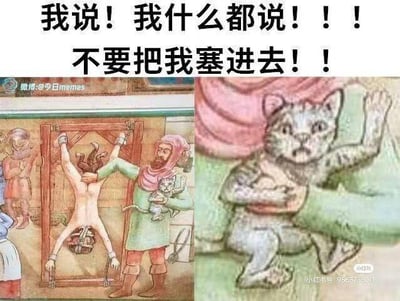 这是一张左右拼接的搞笑梗图，左侧是中世纪风格的插画，描绘了一个人将另一个人固定在类似拉伸酷刑的装置上，同时怀里抱着一只猫；右侧是这只猫的特写，猫咪表情惊恐，四肢做出挣扎的动作。图上方配有拟人化的文字“我说！我什么都说！！！不要把我塞进去！！”，将猫咪的反应拟人化，营造出猫咪误以为自己也要被塞进刑具的搞笑反差效果，没有双关、谐音梗等内容。