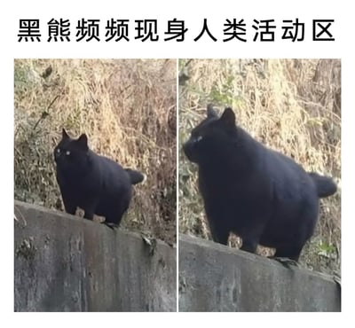 暂无描述